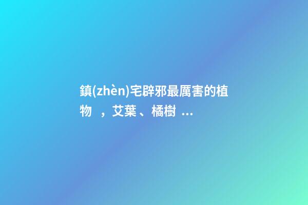 鎮(zhèn)宅辟邪最厲害的植物，艾葉、橘樹、桃樹等